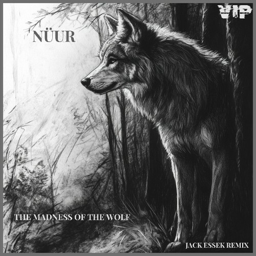  Nuur - The Madness of the Wolf (2025) 