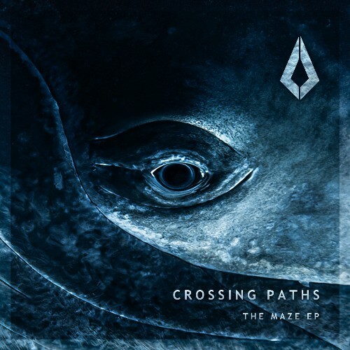  Crossing Paths - The Maze (2026) 