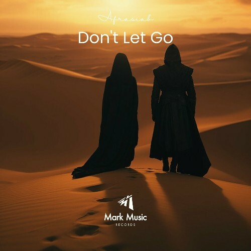MP3:  Afrasiâb - Don't Let Go (2024) Онлайн