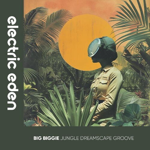  Big Biggie - Jungle Dreamscape Groove (2024) 