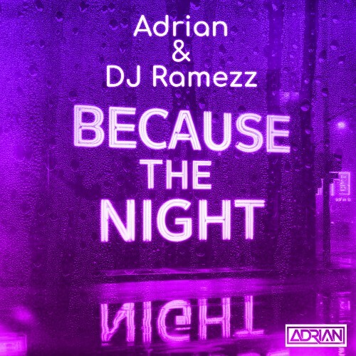  Adrian & DJ Ramezz - Because The Night (All Versions) (2024) 