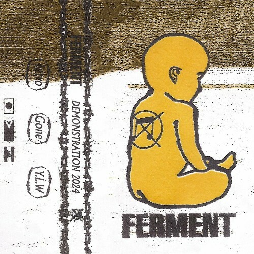 VA - Ferment - Demonstration 2024 (2024) (MP3)