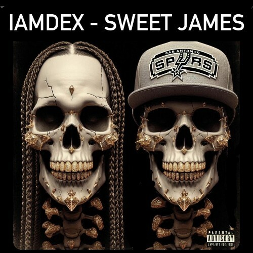  Sweet James TX & IAMDEX - 210 Ways To Get Paid (2025) 