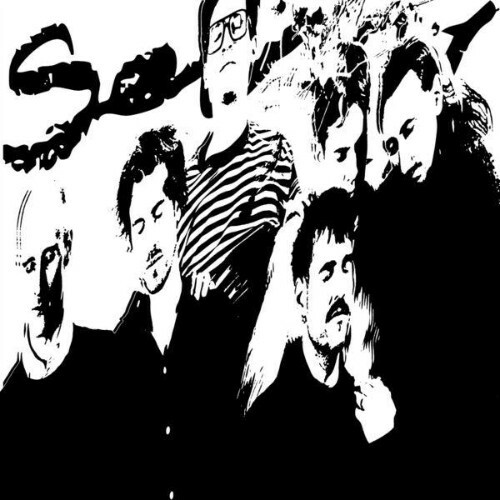  Die Sauna - sorry (2026) 