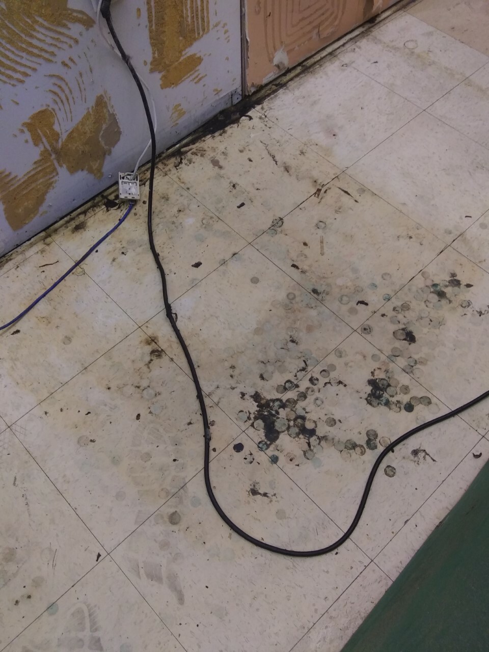Coinstar debris.jpg