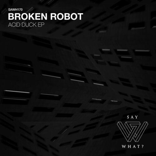 Broken Robot - Acid Duck (2023) MP3