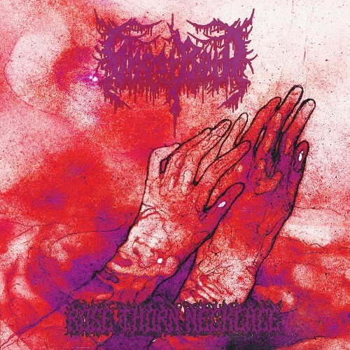 Ghost Bath - Rose Thorn Necklace (2025) Ghost Bath - Rose Thorn Necklace (2025)