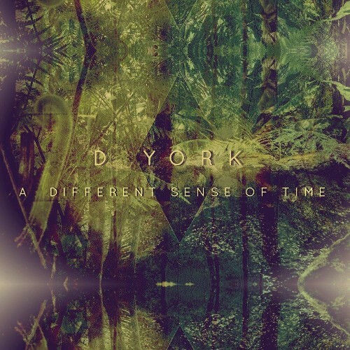  d york - A Different Sense of Time (2024) 