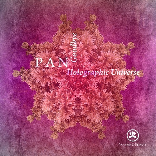  P A N - Holographic Universe (2025) 