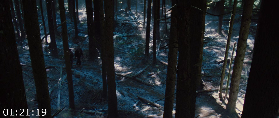 [Kép: ME1A34BE_o.png]