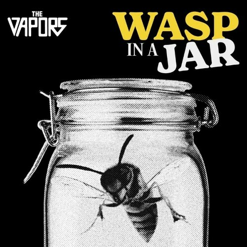  The Vapors - Wasp in a Jar (2025) 