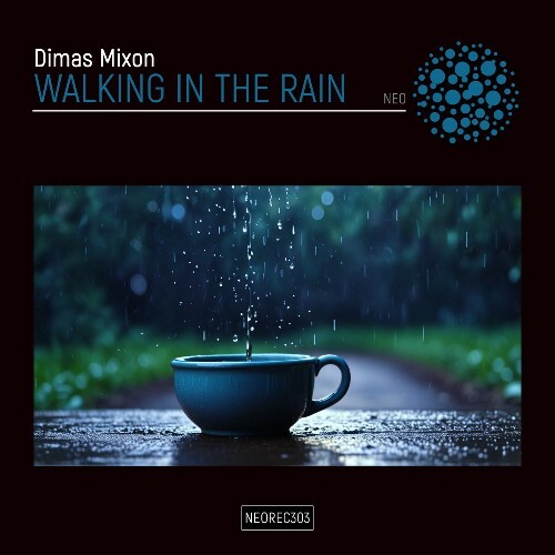  Dimas Mixon - Walking In The Rain (2024) 