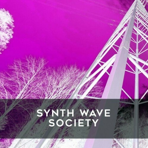  Synth Wave Society (2024) 