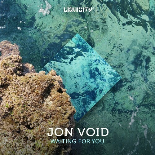  Jon Void - Waiting For You (2024) 