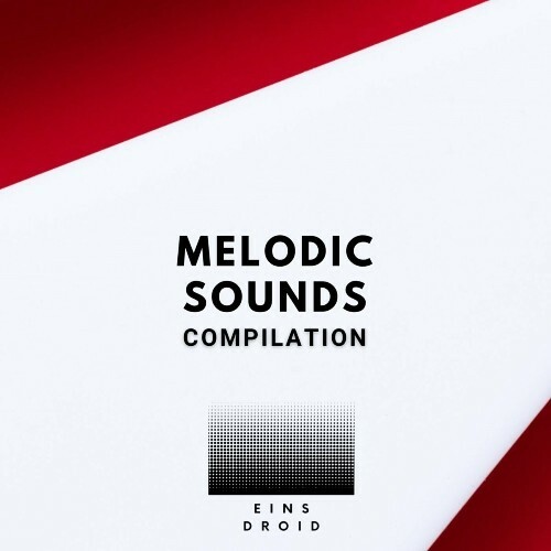  Eins Droid - Melodic Sounds (2024) 