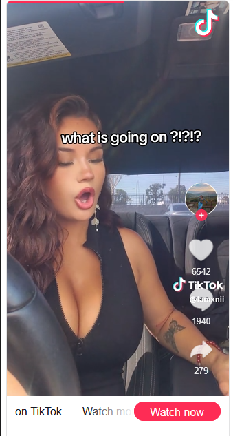 ME12MYG2_o.png