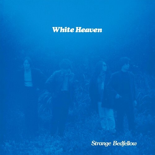  White Heaven - Strange Bedfellow (2023) 