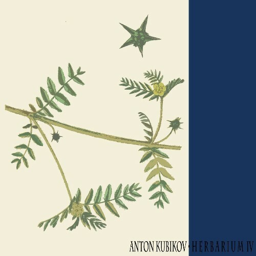 Anton Kubikov - Herbarium Part Four (2023) MP3