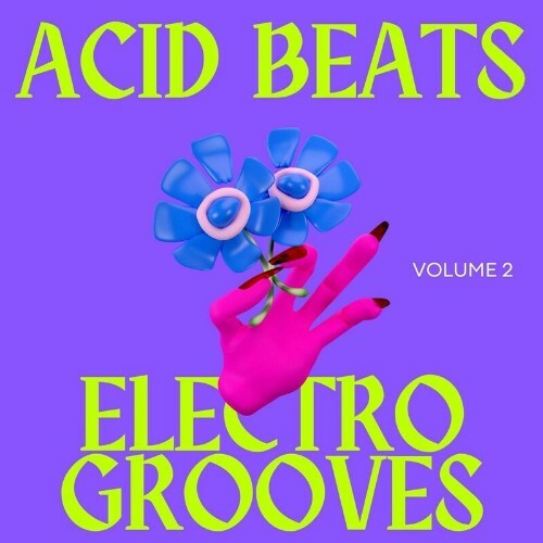  Acid Beats Electro Grooves, Vol.2 (2024) 