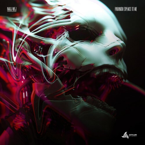  NAUJ MEJ - Paranoia Speaks To Me (2026) 