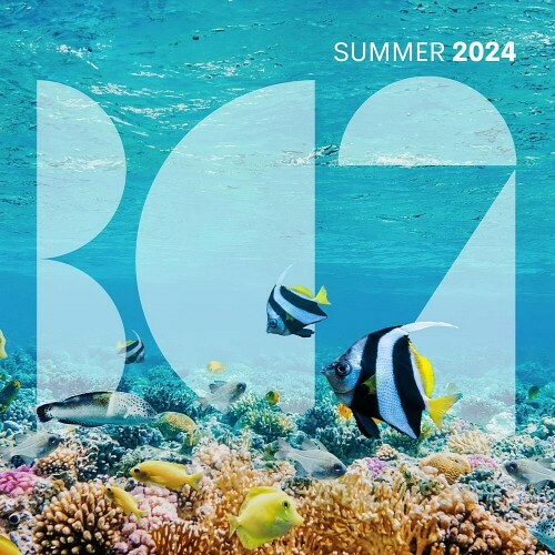  BC2 Summer 2024 (2024) 