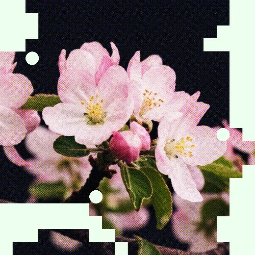  Applescal - Take Me Back / Turned (2026) 