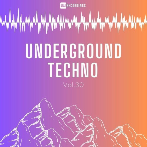 VA -  Underground Techno, Vol. 30 (2024) [MP3] MEVKCAI_o