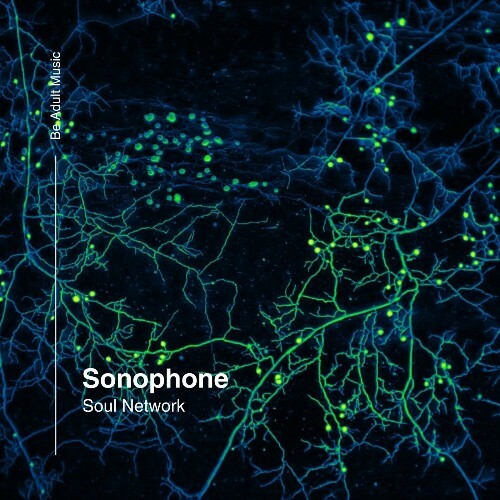  Sonophone - Soul Network (2024)  METS88B_o