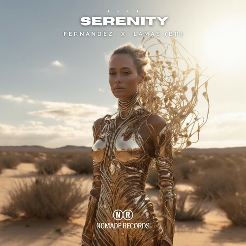  Fernandez & LAMAS (BR) - Serenity (2024) MP3 MEVAVAX_o