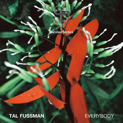 Tal Fussman - Everybody (2025)