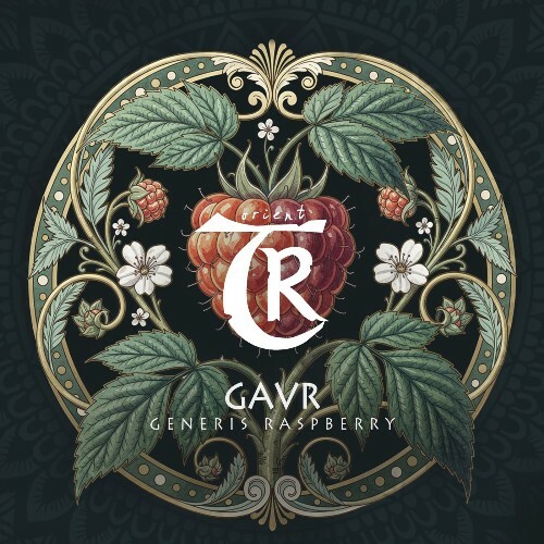  Gavr - Generis Raspberry (2026) 