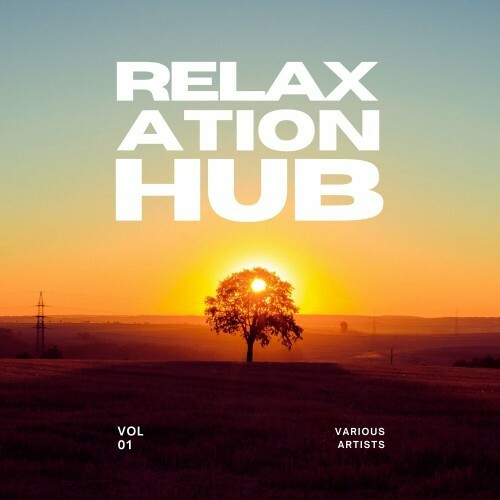  Relaxation Hub, Vol. 1 (2024) 