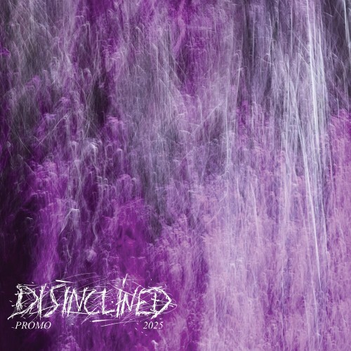  Disinclined - Promo 2025 (2025) 