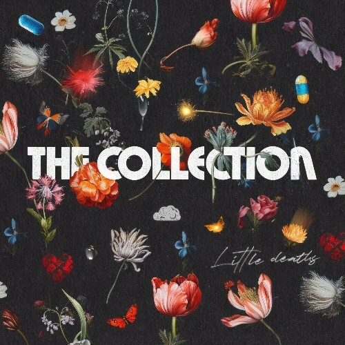  The Collection - Little Deaths (2024)  MEVDWY6_o