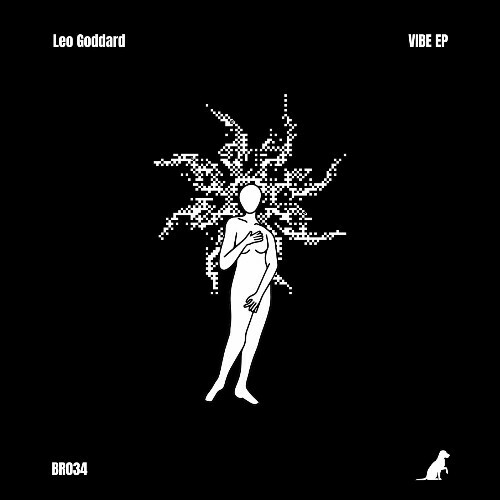 VA | Leo Goddard - Vibe 2024 год Скачать Онлайн в Mp3 (Бесплатно)