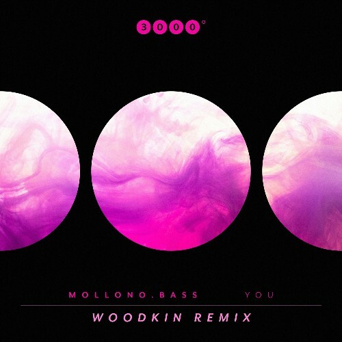 Mollono.Bass — You (Woodkin Remix) (2026)