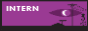 A small site button. The background is the WTNV cover, minus the title. The text reads, 'INTERN'.
