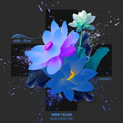  Amir Telem - Blue Lotus 2 (2026) 