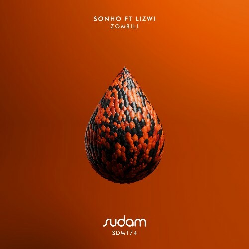  Sohno ft. Lizwi - Zombili (2025) 
