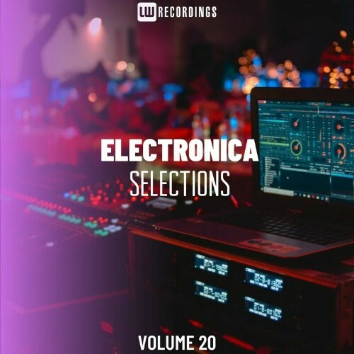  Electronica Selections, Vol. 20 (2024) 