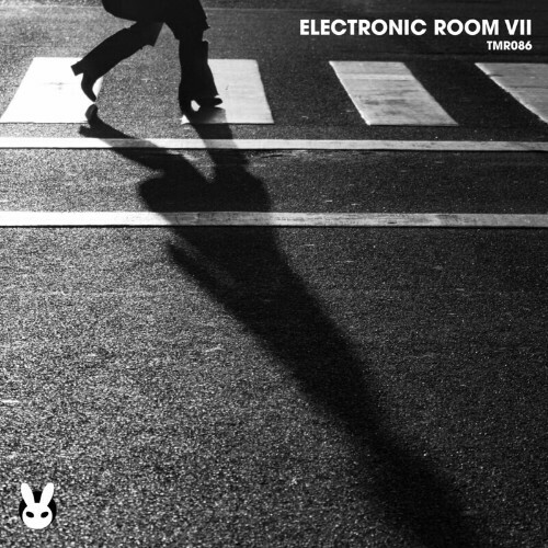  Electronic Room VII (2024) 