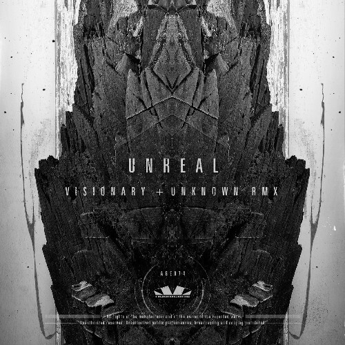  UNREAL [SP] - Visionary (2024) 