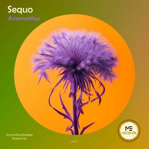  Sequo - Amaranthus (2024) 