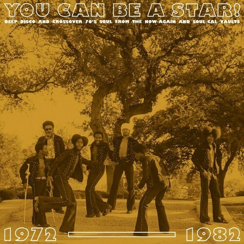  You Can Be A Star! Deep Disco and Crossover 70's Soul From The Now-Again and Soul-Cal Vaults 1972-1982 (2024) 