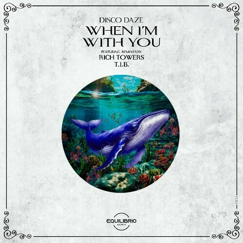 VA - Disco Daze - When I'm With You (2024) (MP3) MEWHRFU_o