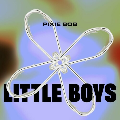  PIXIE BOB - LITTLE BOYS (2025) 