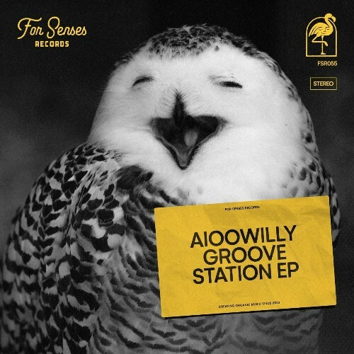  Aioowilly - Groovestation (2025) 