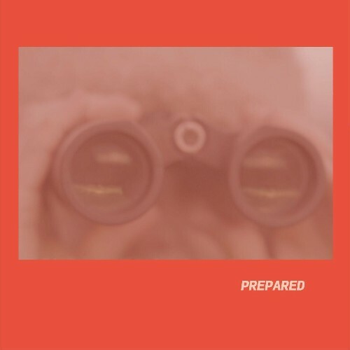VA - Laura J Martin - Prepared (2024) (MP3) METKQG8_o