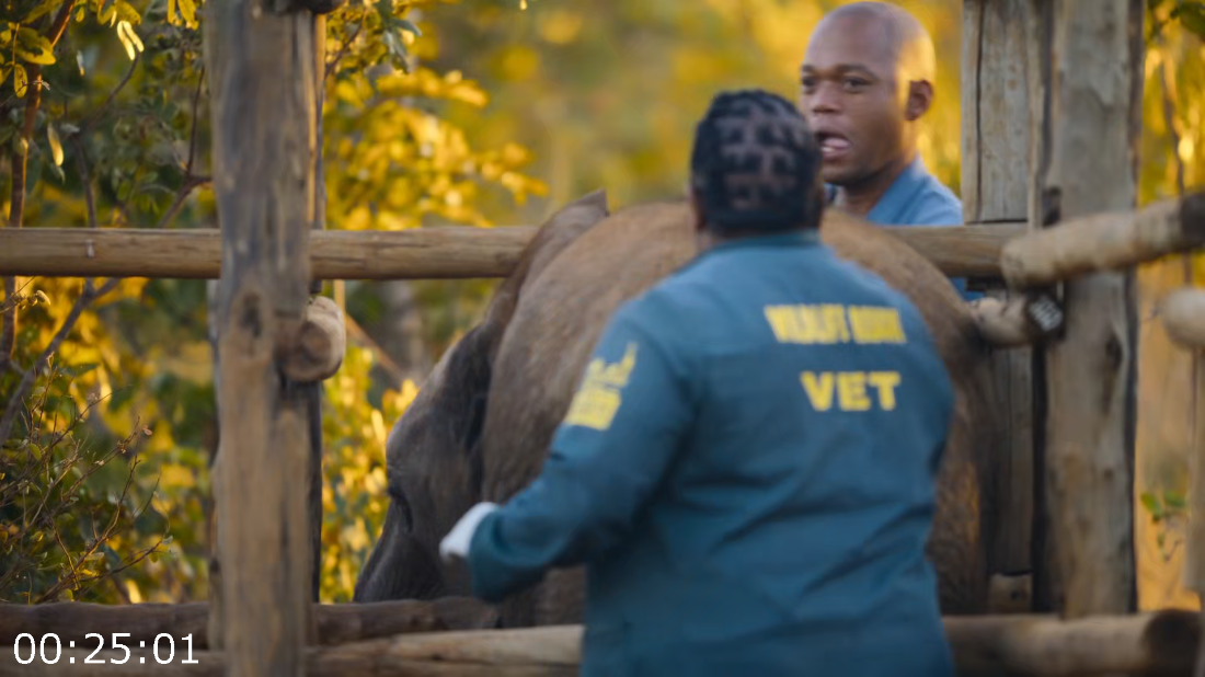 [Image: ME18VT8A_o.png]