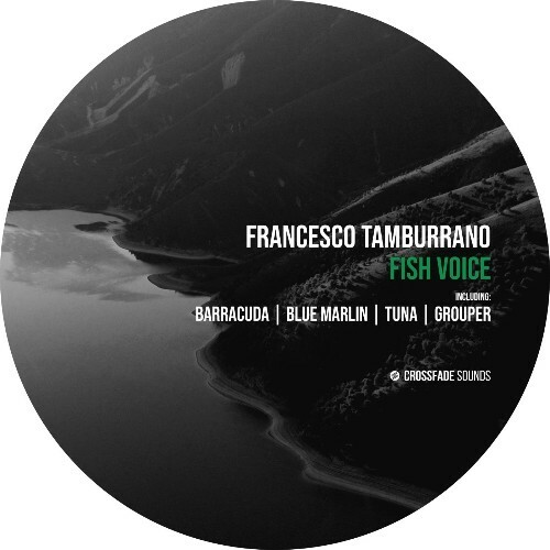  Francesco Tamburrano - Fish Voice (2025) 